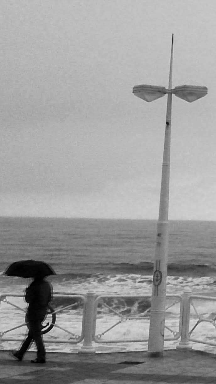 Sony Xperia Z sample photo. Movimiento photography