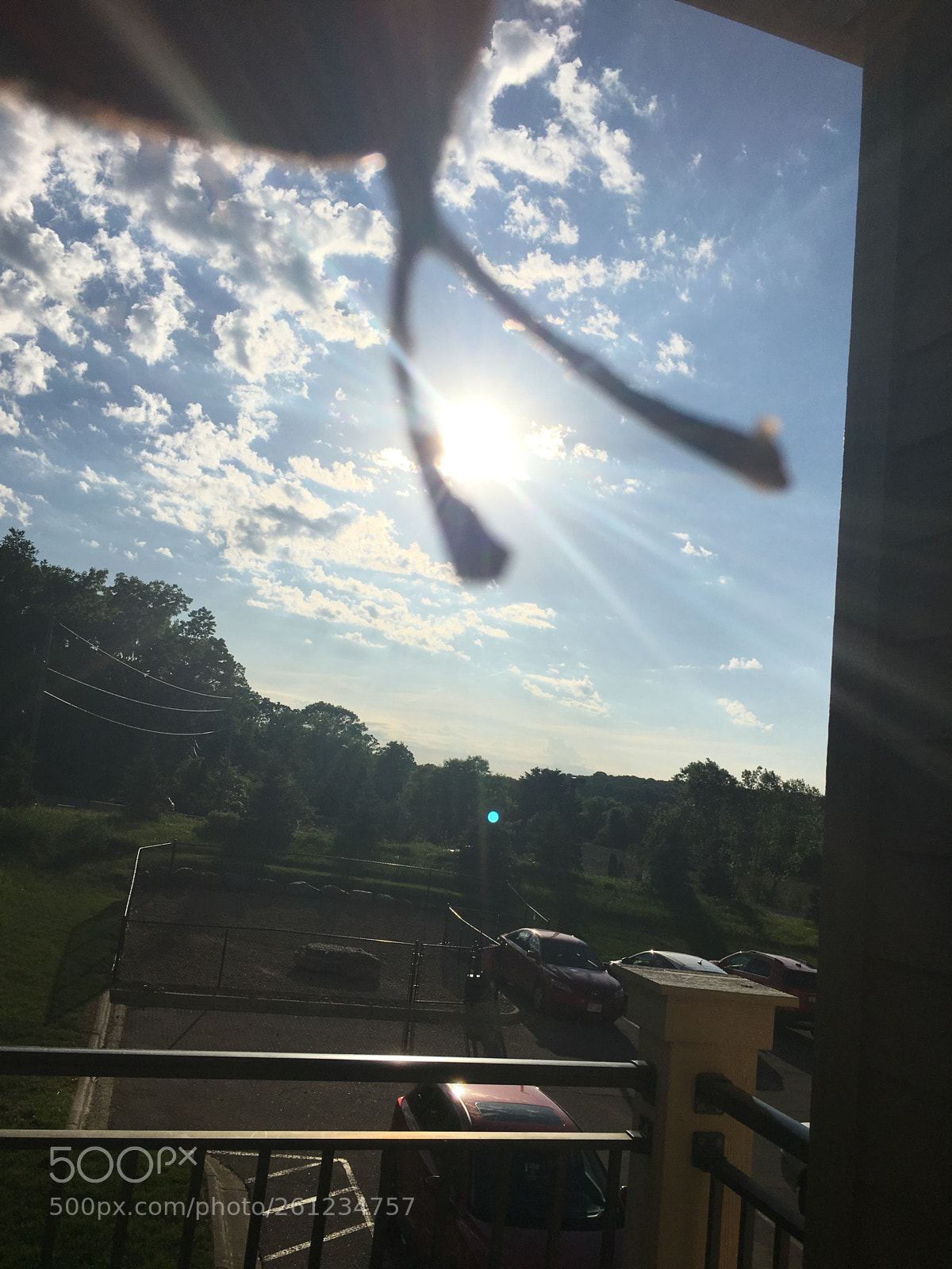 Apple iPhone 6s sample photo. Untitled photography