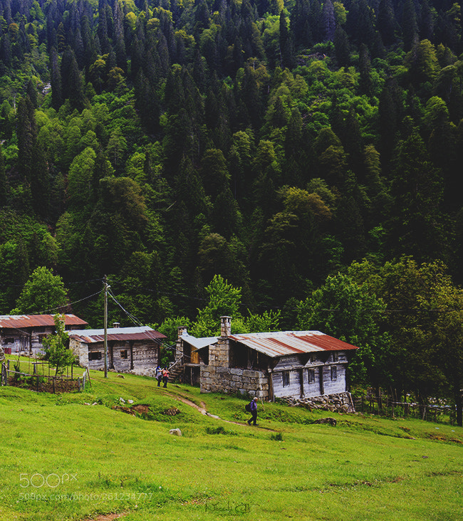 Canon EOS 6D sample photo. Green nature ayder photography