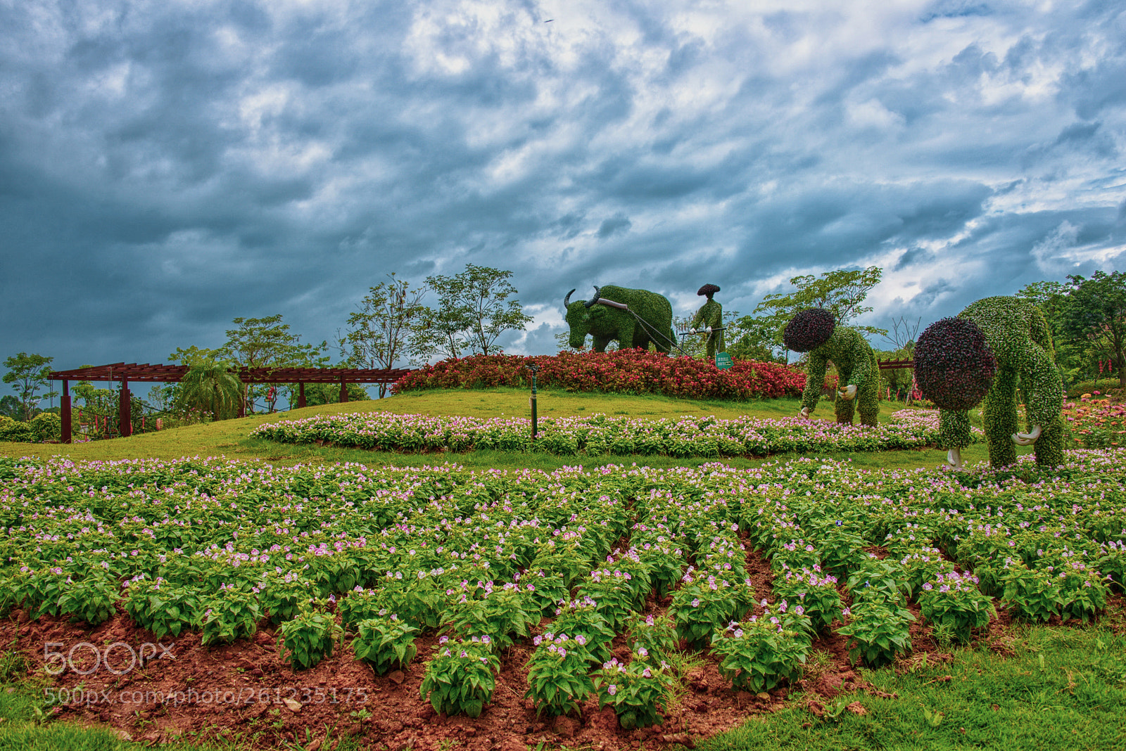 Nikon D610 sample photo. Before the rain 2 photography