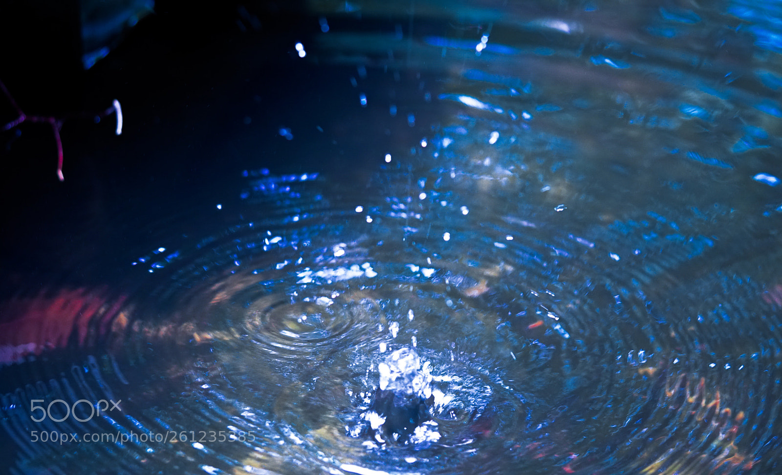Sony a6500 sample photo. Pond photography