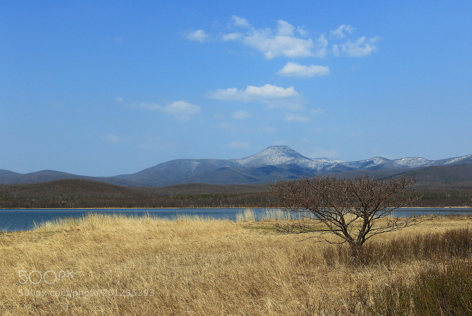 Canon EOS 7D Mark II sample photo. Lonely tree photography