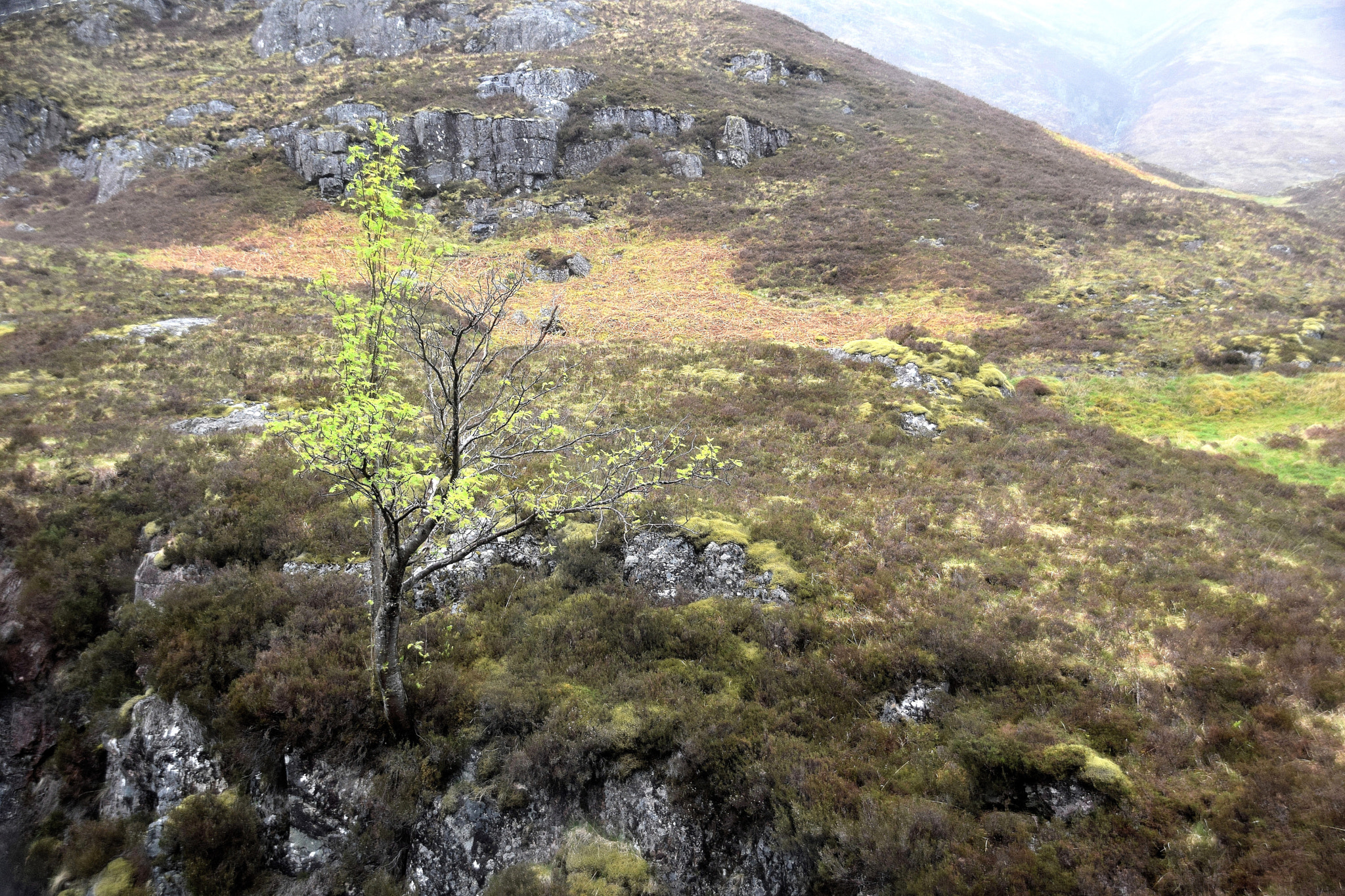Sigma 18-250mm F3.5-6.3 DC Macro OS HSM sample photo. Scottish highlands photography