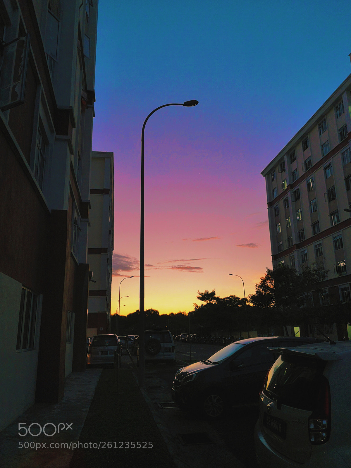 HUAWEI P20 sample photo. Untitled photography