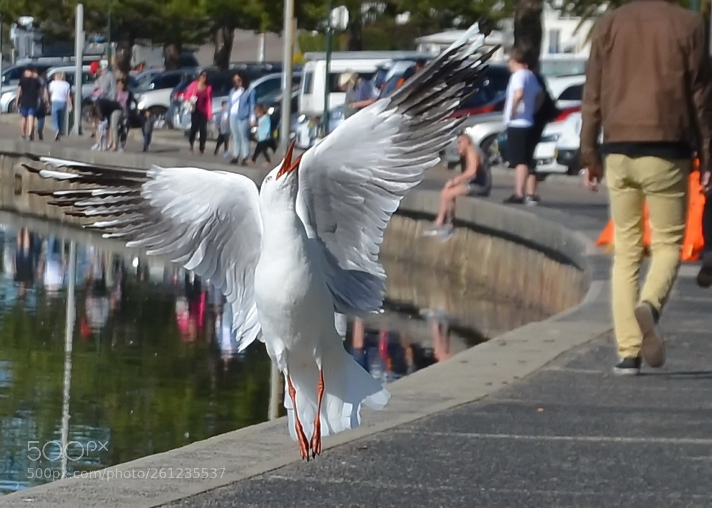 Nikon D5100 sample photo. Airborn ballarina photography