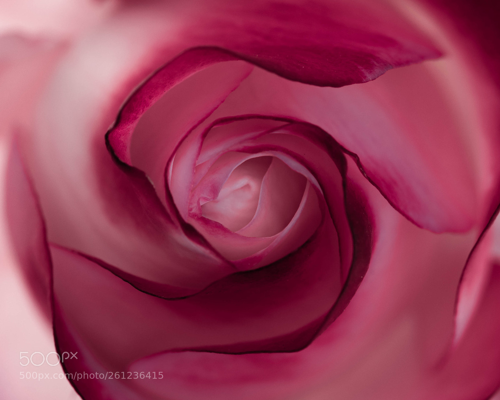 Nikon D5300 sample photo. Hypnosis photography