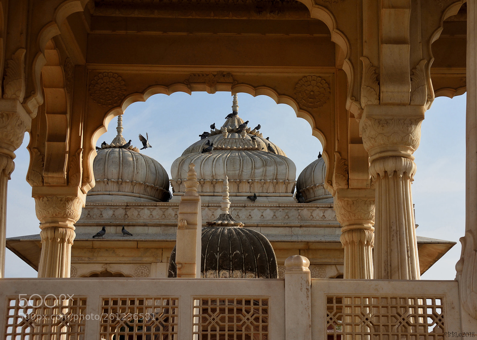Nikon D7100 sample photo. Royal cenotaphs devikund sagar #3 photography