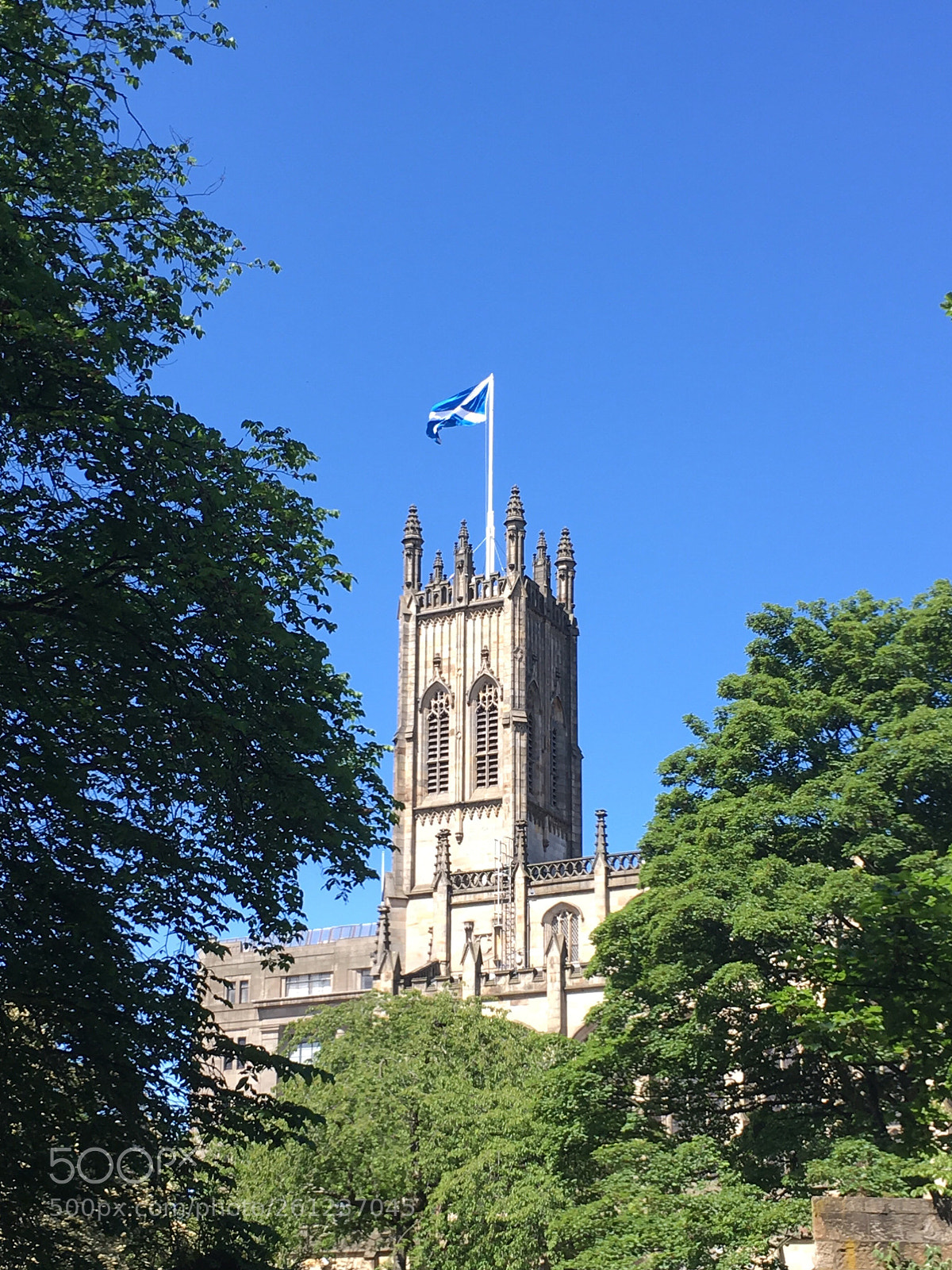 Apple iPhone SE sample photo. Saltire on a summers photography