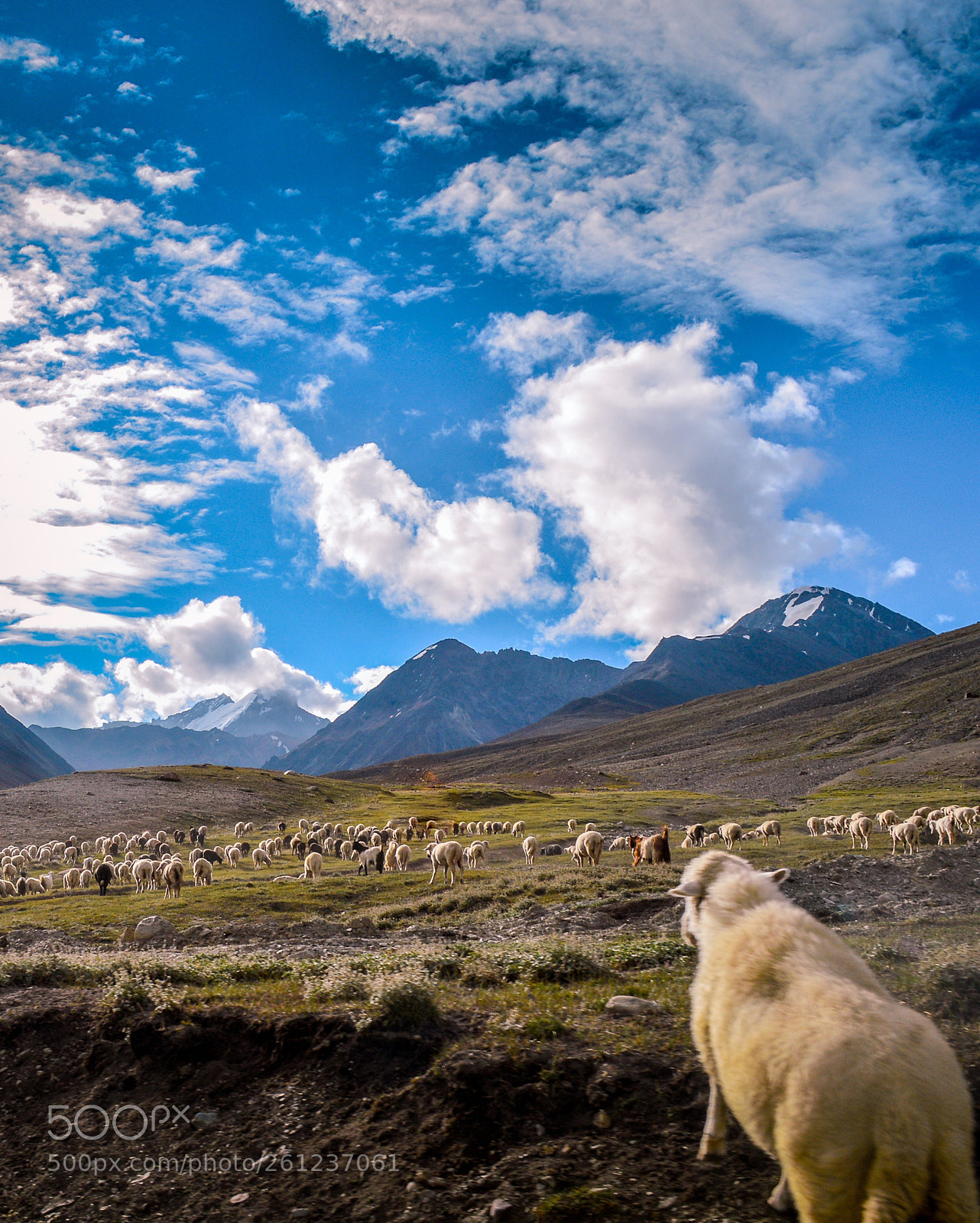 Nikon D3200 sample photo. Spiti valley, india photography