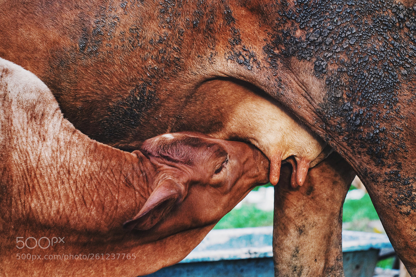 Fujifilm X-T1 sample photo. Untitled photography