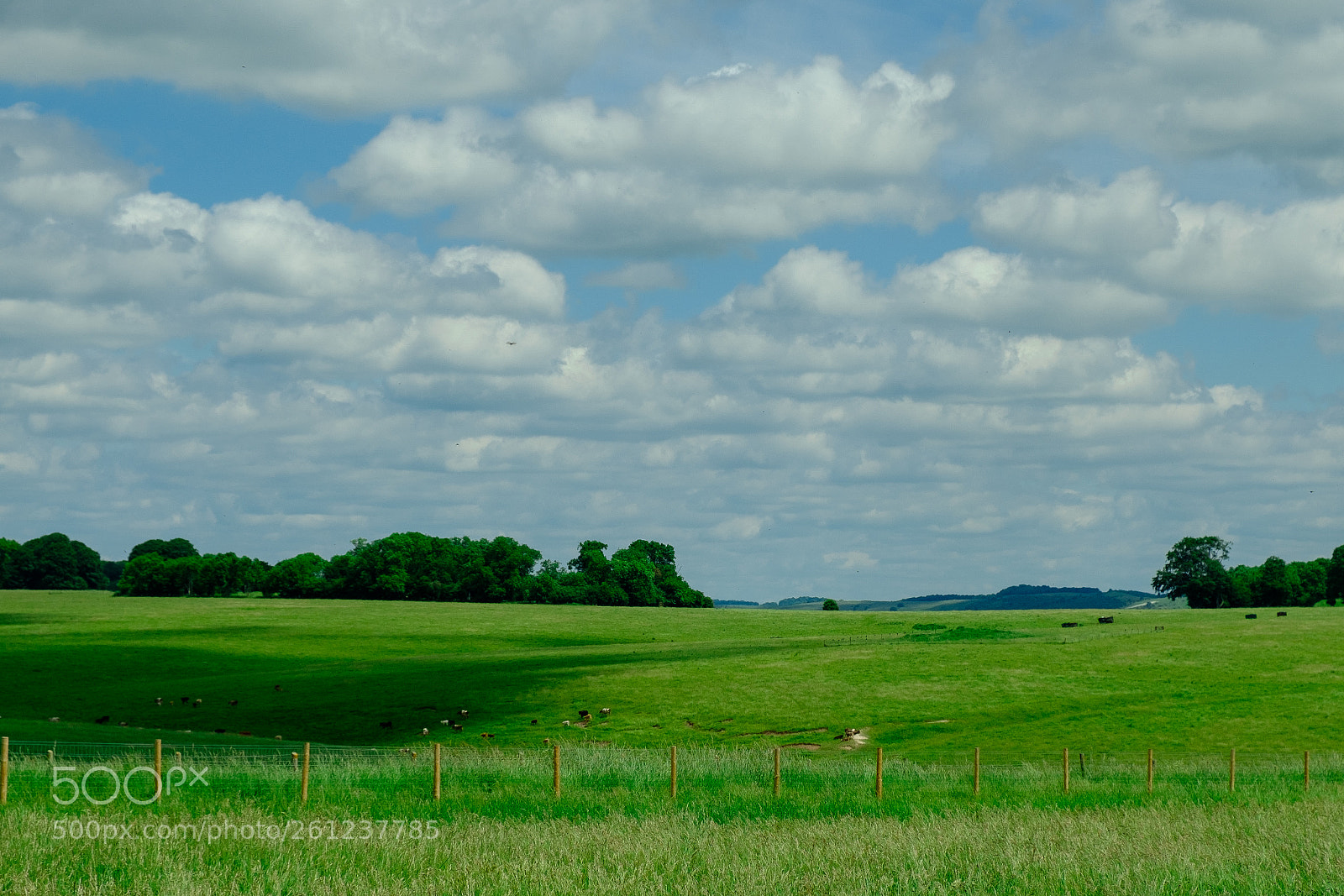 Fujifilm X-T20 sample photo. Green fields photography