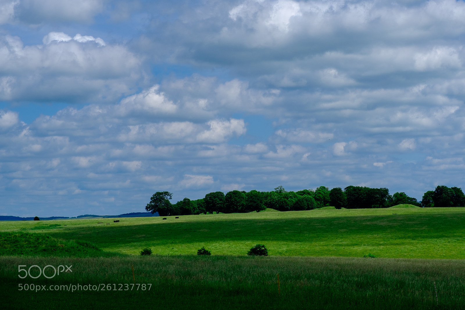 Fujifilm X-T20 sample photo. Green fields photography
