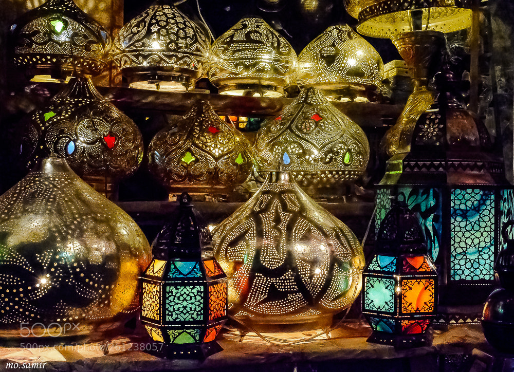 Nikon D7100 sample photo. Untitled photography