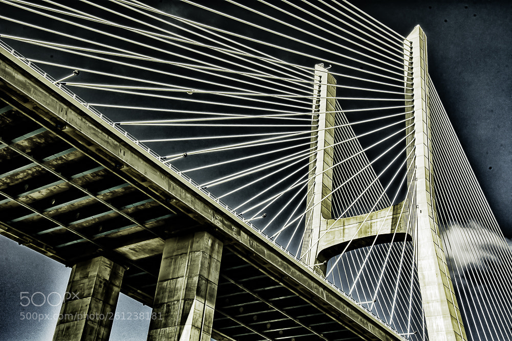 Nikon D5200 sample photo. Ponte pormenor photography