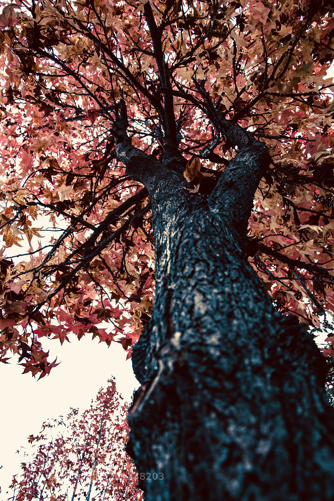 Nikon D5500 sample photo. Untitled photography