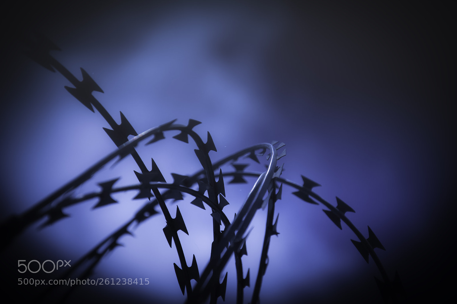 Nikon D5200 sample photo. Barbwire photography