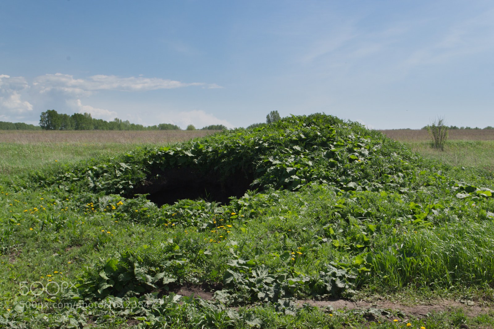 Nikon D3100 sample photo. Little cave photography