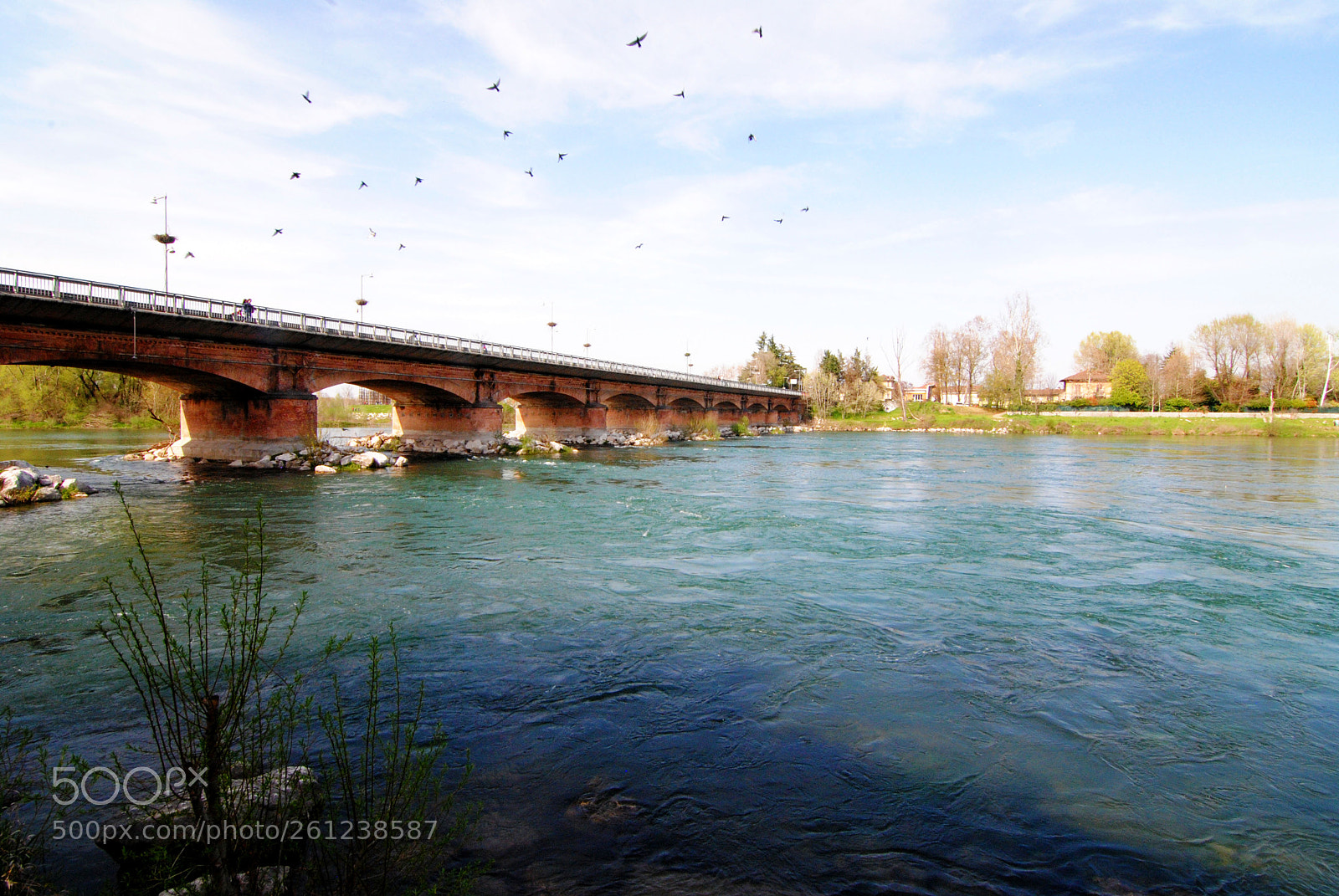 Nikon D3000 sample photo. Movimento photography