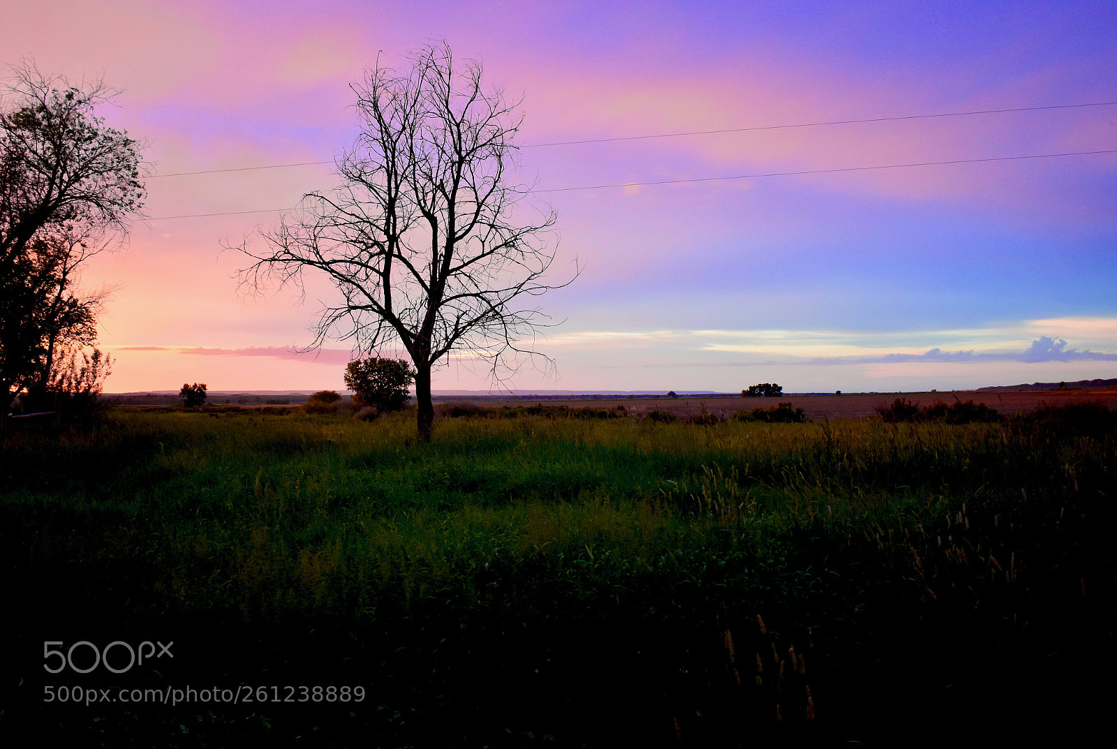 Nikon D5600 sample photo. Montana eve 2 photography