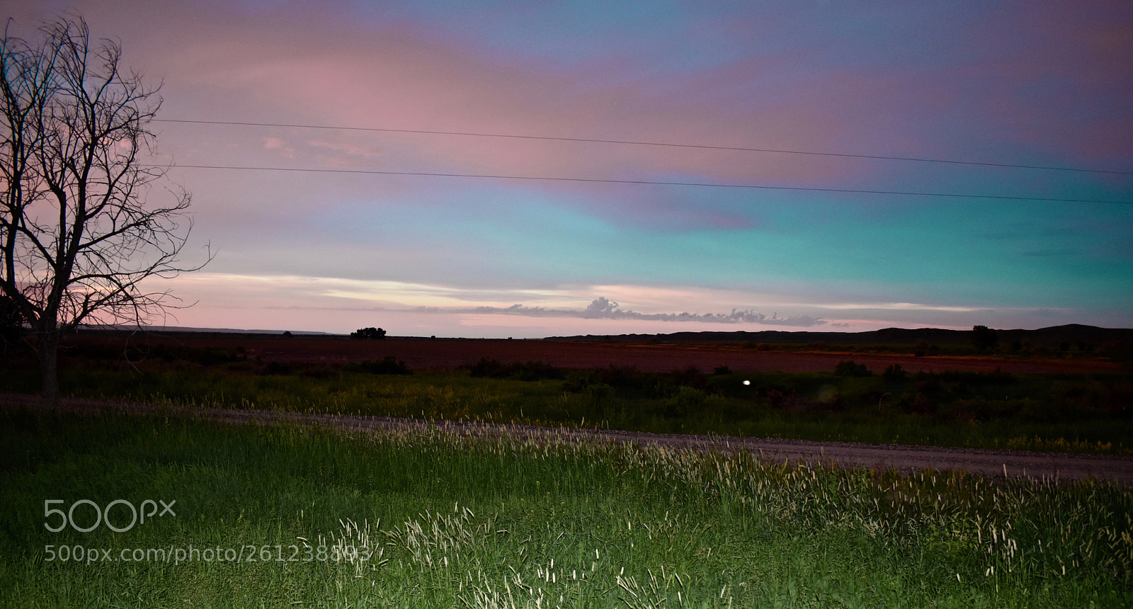 Nikon D5600 sample photo. Montana eve photography