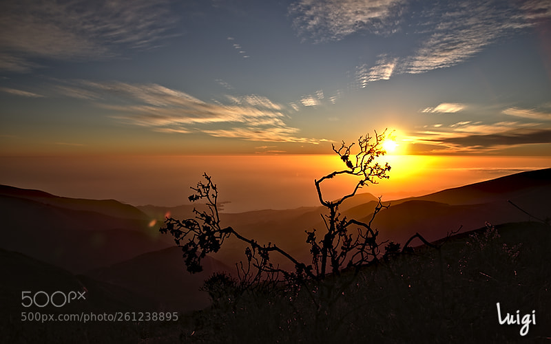 Nikon D5100 sample photo. Sunset photography