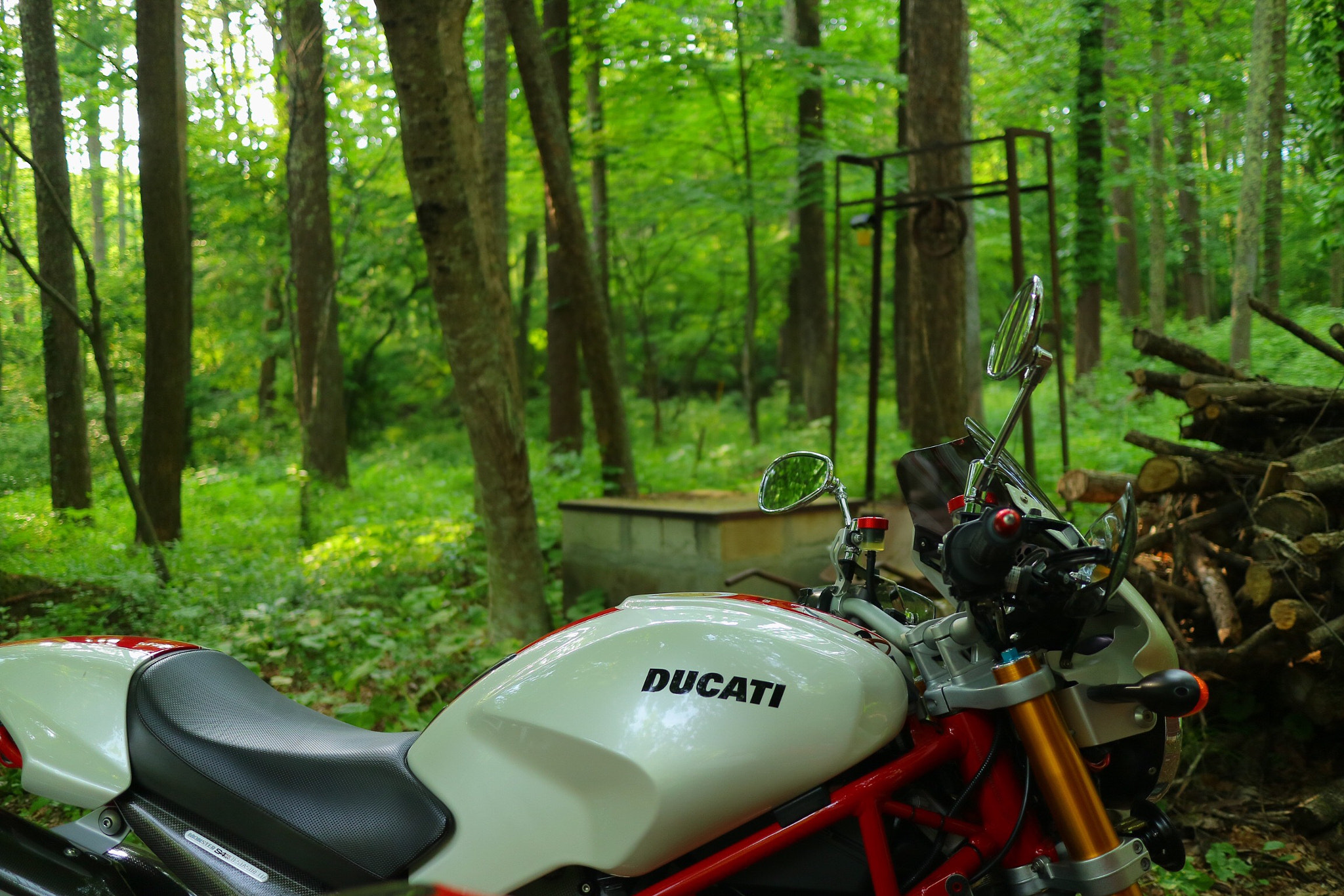 Canon EOS M3 sample photo. Ducati s4rs  in woods photography