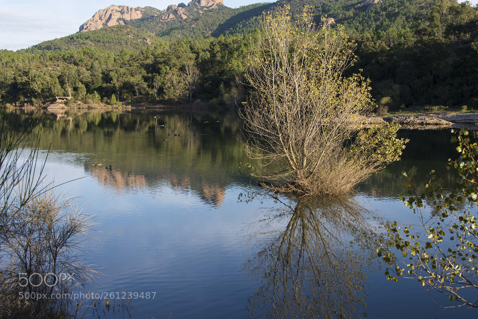 Nikon D600 sample photo. Reflections on a lake photography