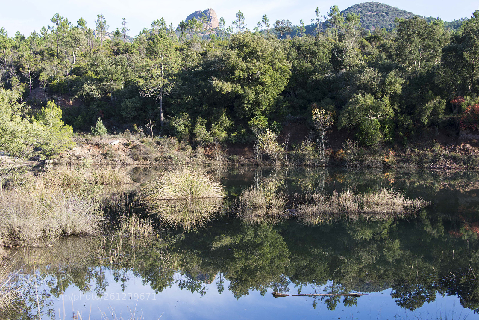Nikon D600 sample photo. Reflections on a lake photography