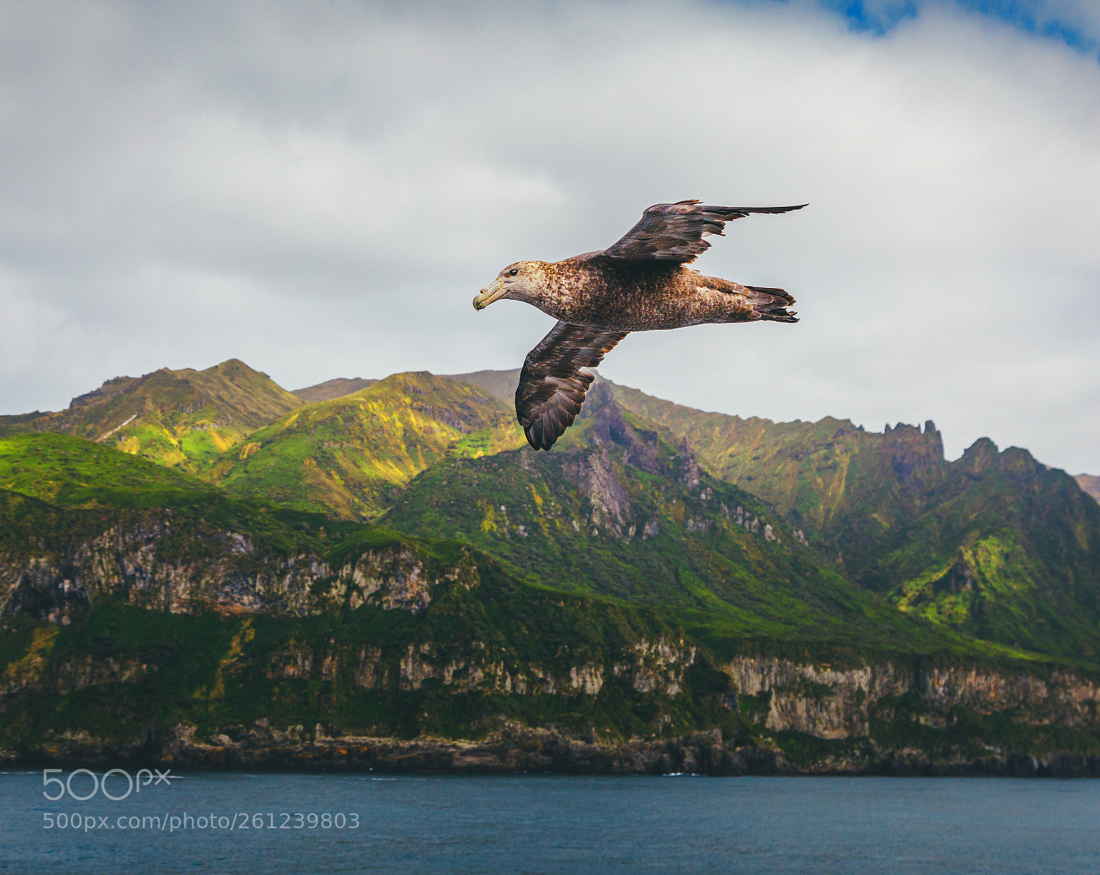 Canon EOS 5D Mark IV sample photo. Soar photography