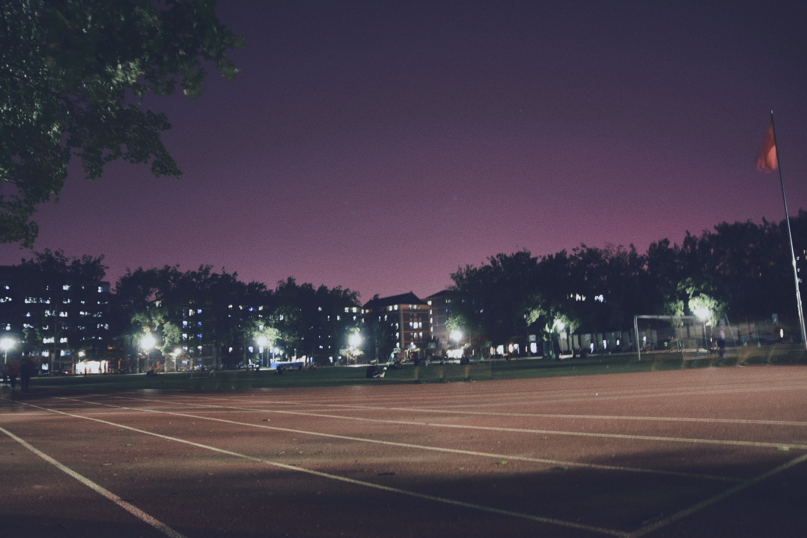 Sigma 17-70mm F2.8-4 DC Macro OS HSM | C sample photo. My summer (life share) photography