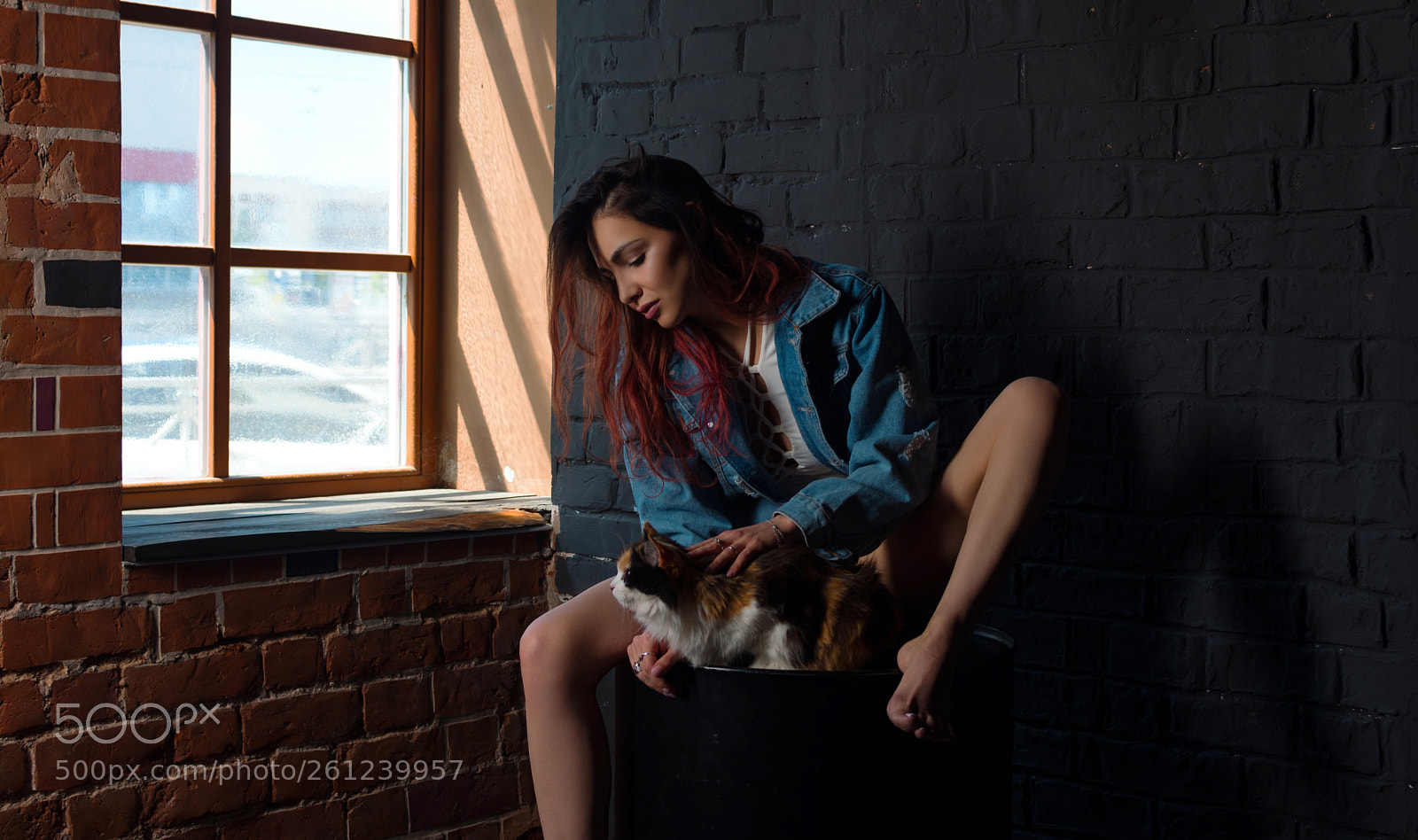 Nikon D7200 sample photo. Cat photography