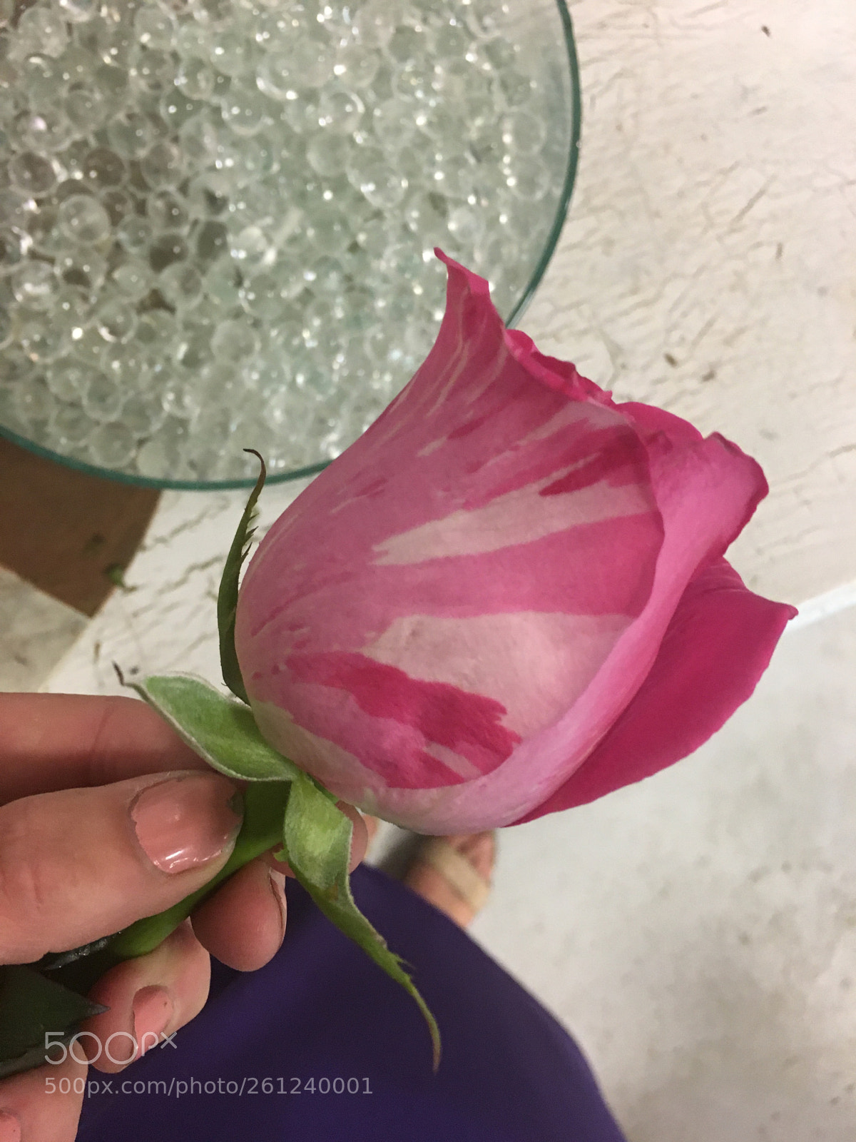 Apple iPhone 6s sample photo. Untitled photography