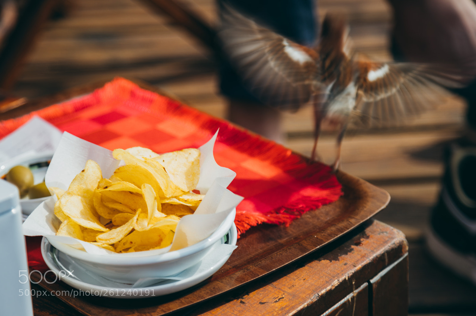 Sony a7R II sample photo. Chip chip photography