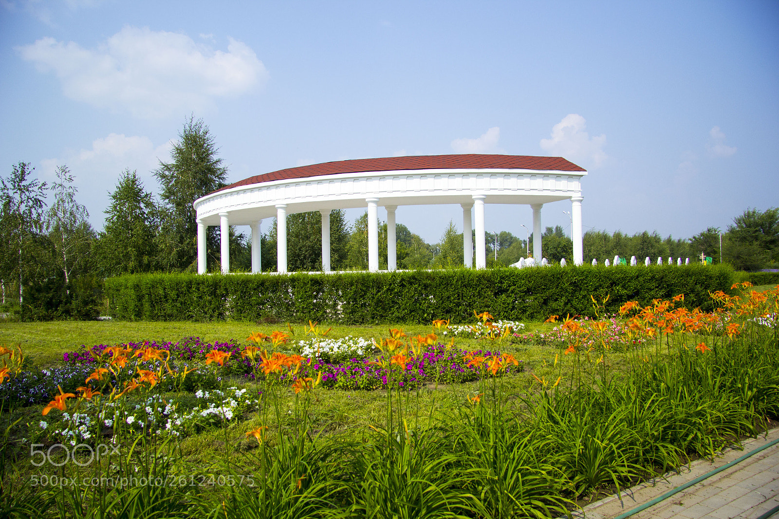 Canon EOS 60D sample photo. In the park photography