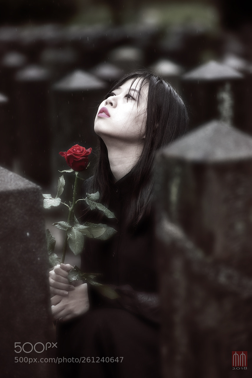 Nikon D810 sample photo. Prayer photography