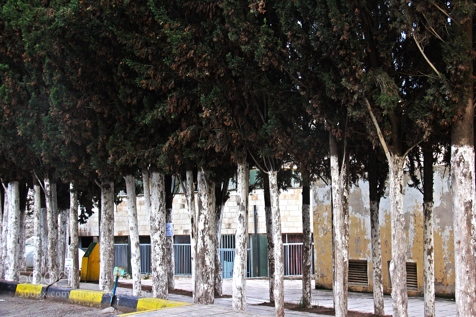Canon EOS 600D (Rebel EOS T3i / EOS Kiss X5) sample photo. @the university ♥ photography