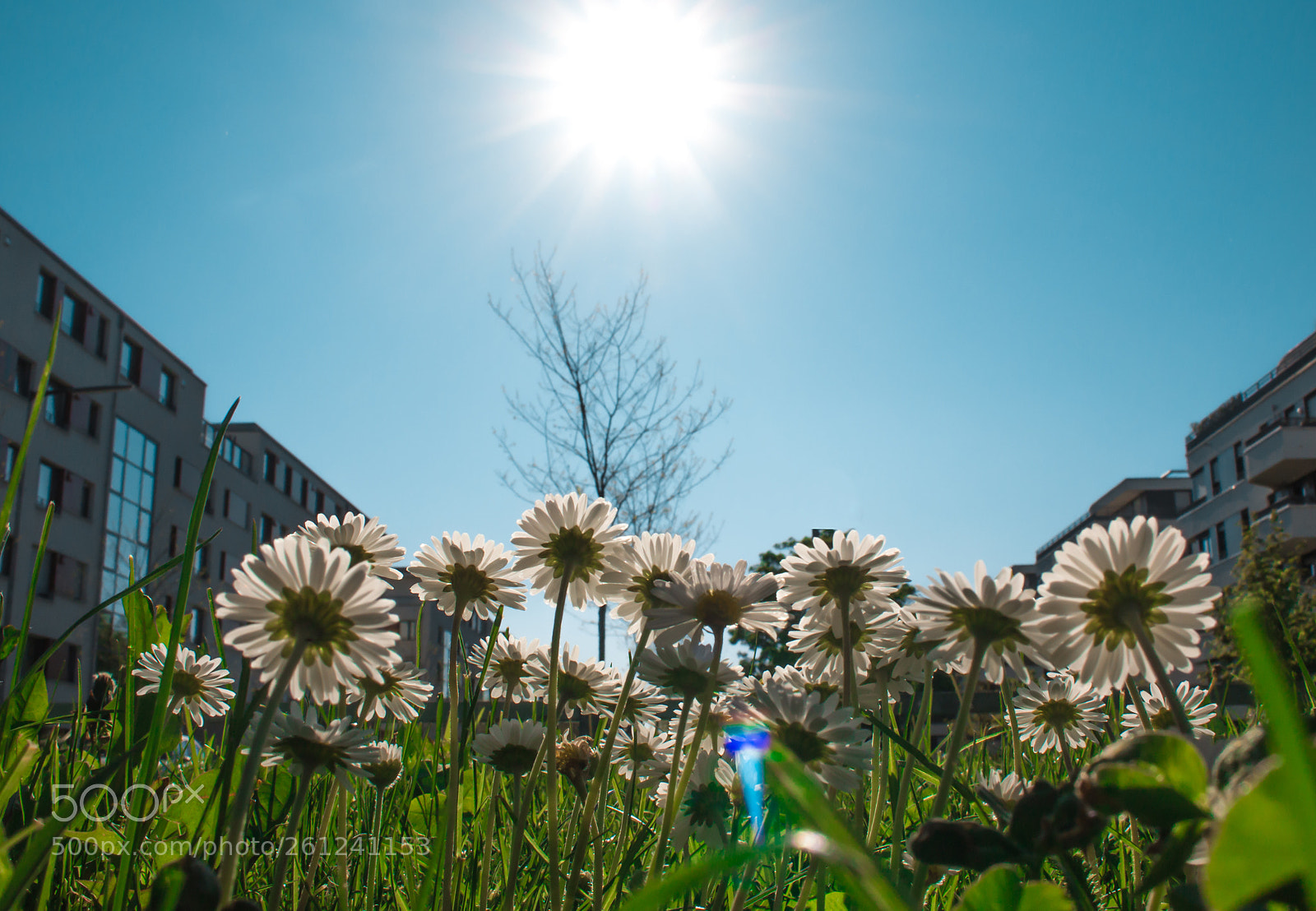 Canon EOS 70D sample photo. Untitled photography
