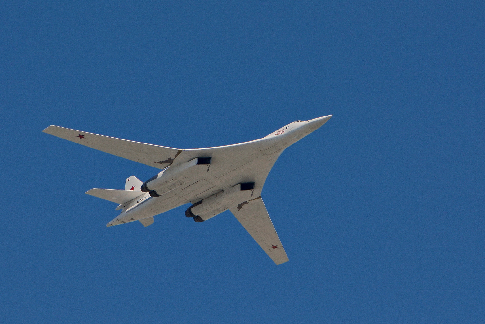 Nikon D5200 sample photo. "white swan", tu-160 photography