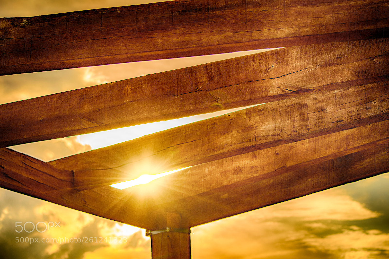 Nikon D5300 sample photo. Shine on me photography