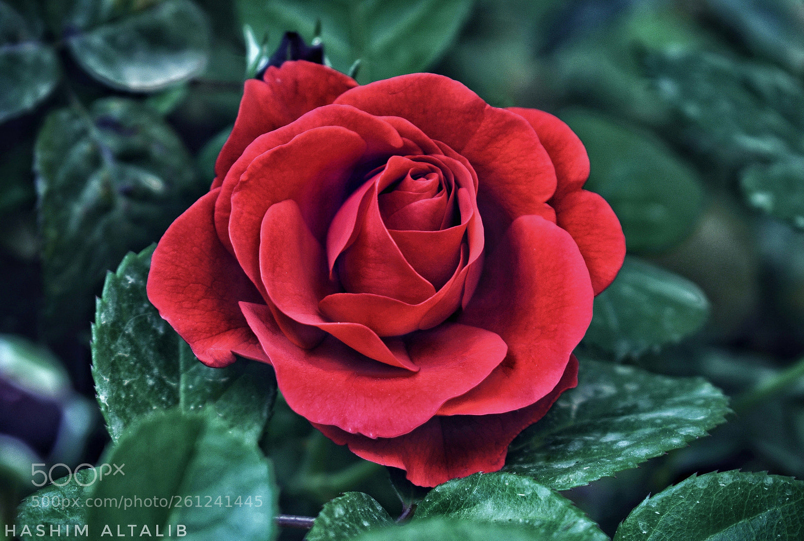 Nikon D3400 sample photo. Untitled photography