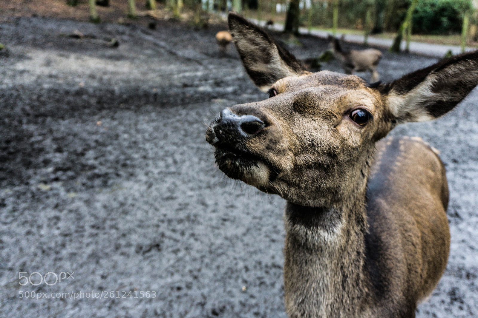 Sony a6000 sample photo. Dsc photography