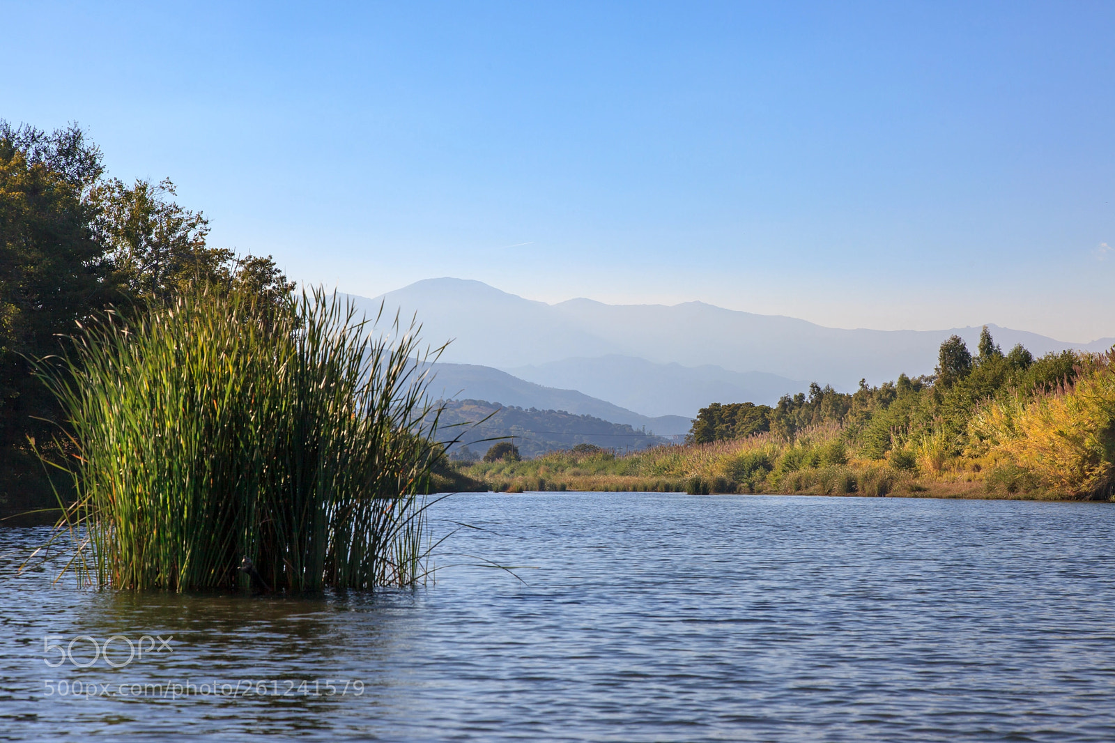 Canon EOS 5D Mark II sample photo. Rio pramaera photography