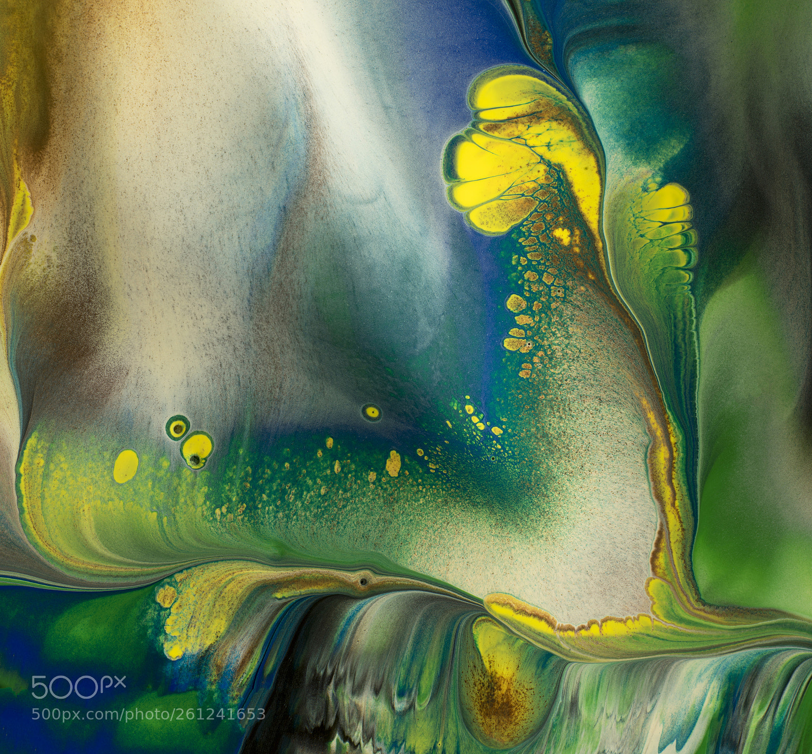 Sony a7R sample photo. Plate 8761-2 photography