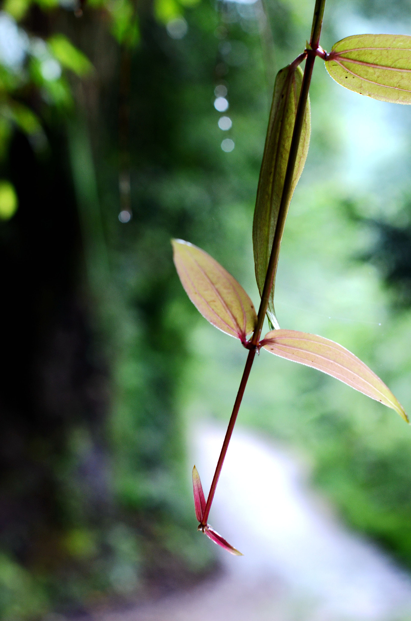 Nikon D7000 sample photo. 飞扬 photography