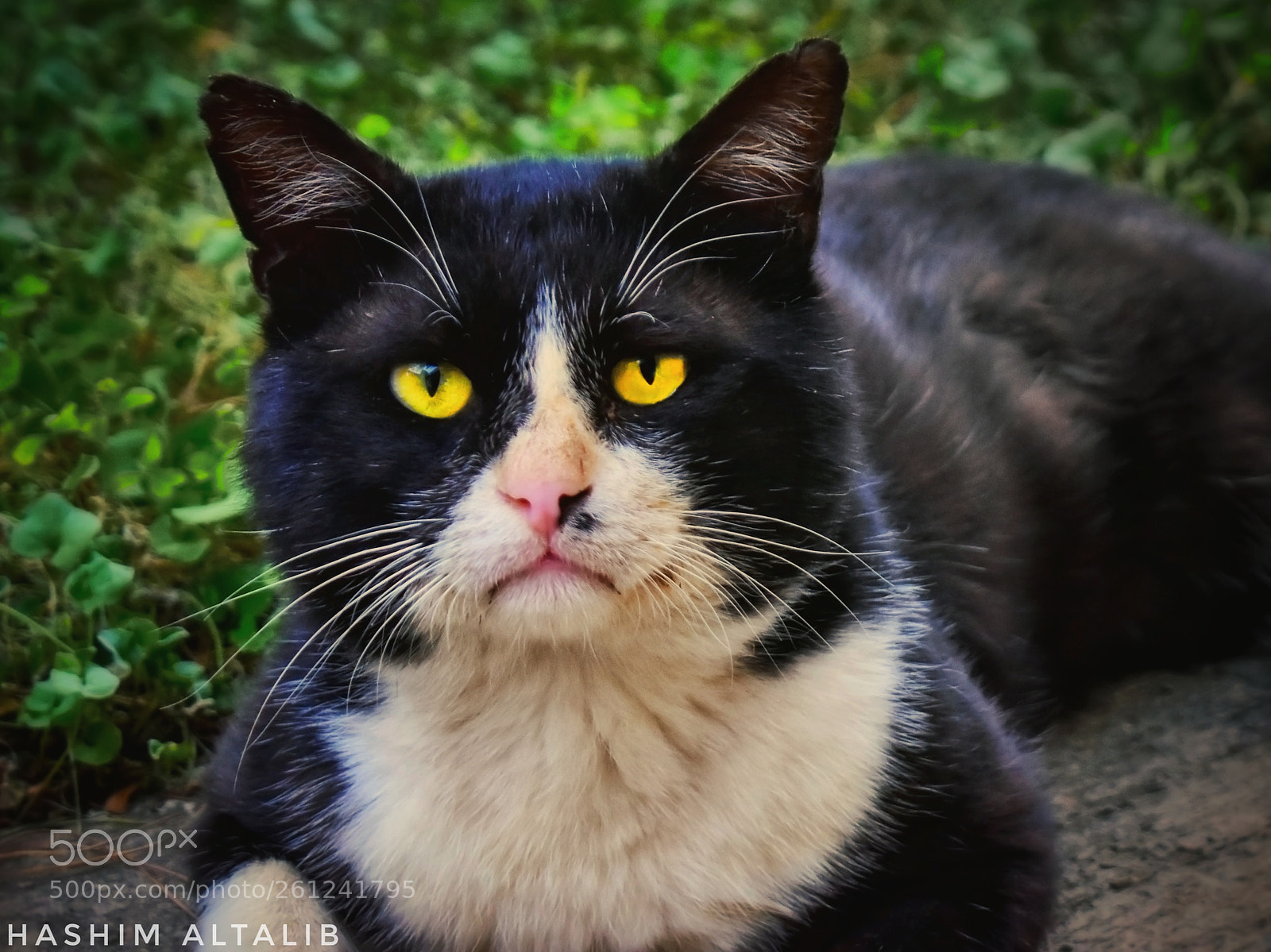 Nikon D3400 sample photo. Untitled photography