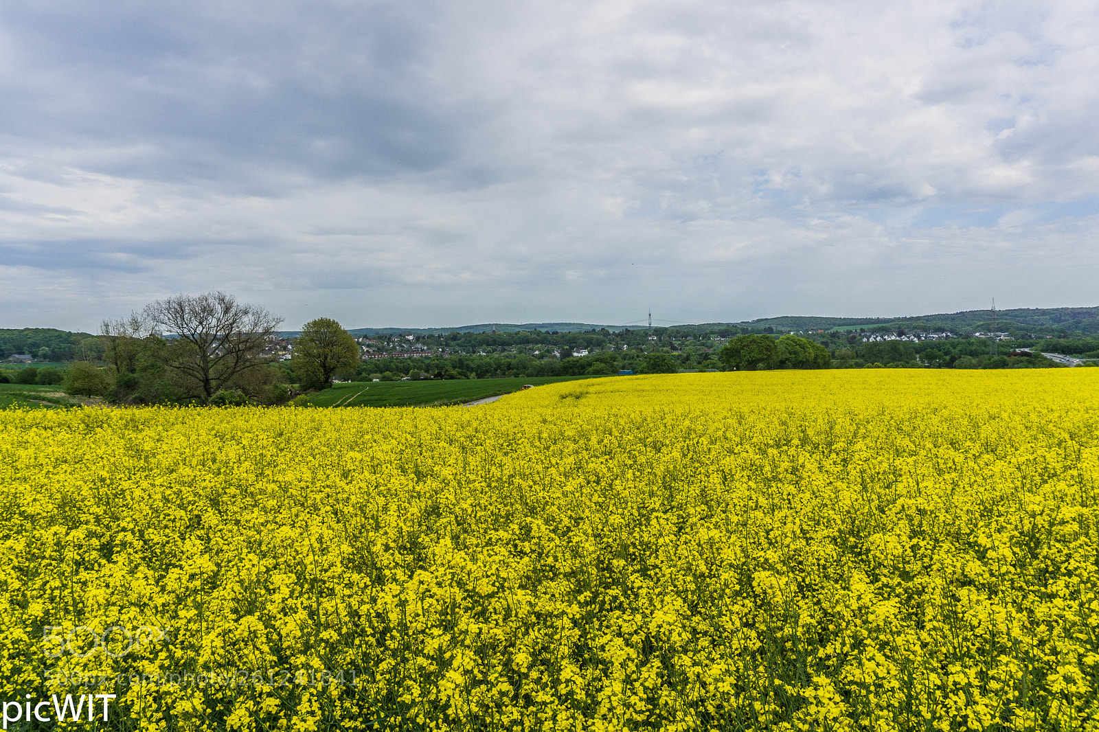 Sony a6000 sample photo. Dsc photography