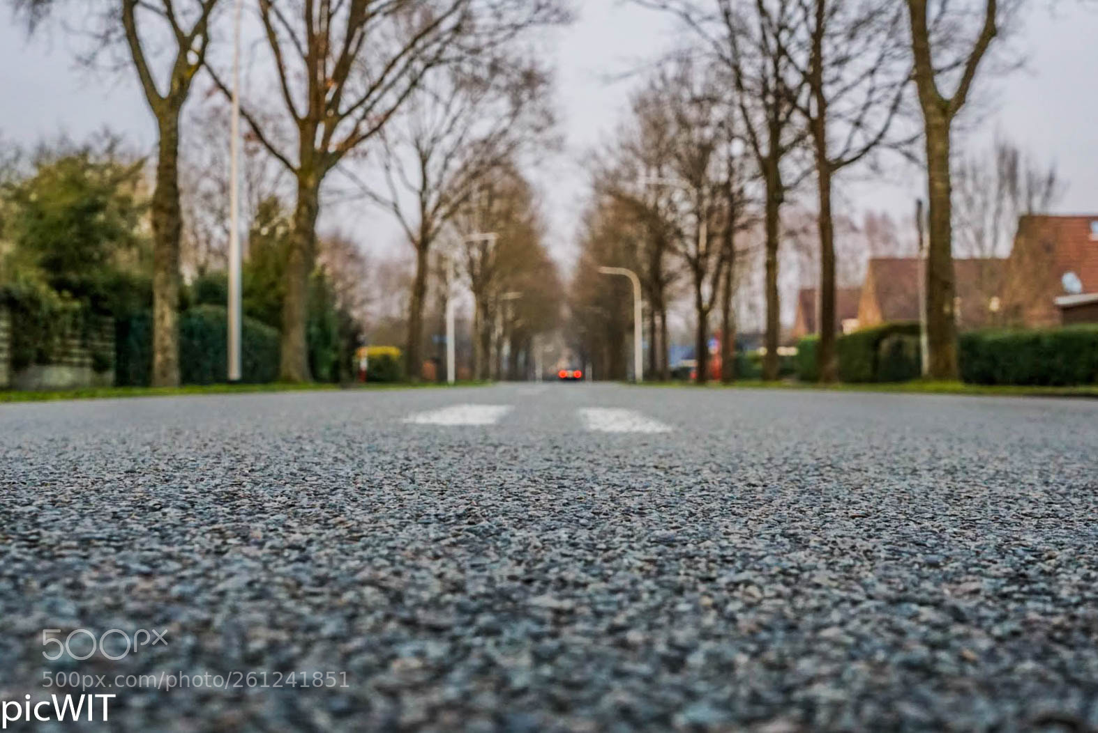 Sony a6000 sample photo. Dsc photography