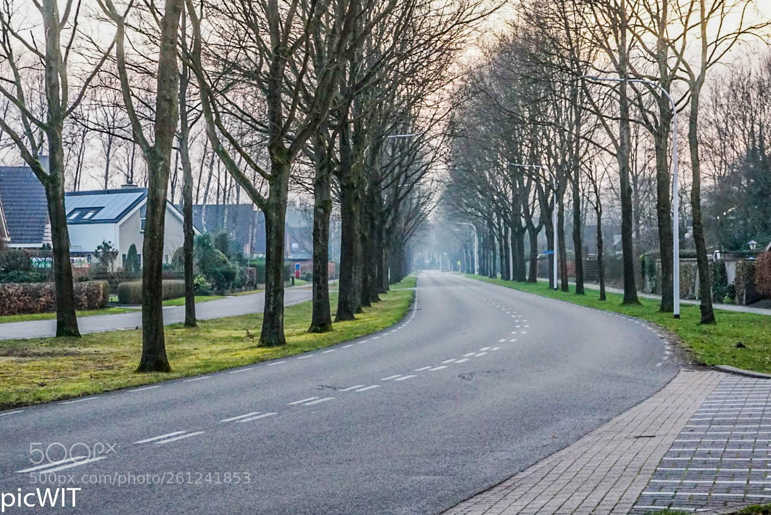Sony a6000 sample photo. Dsc photography