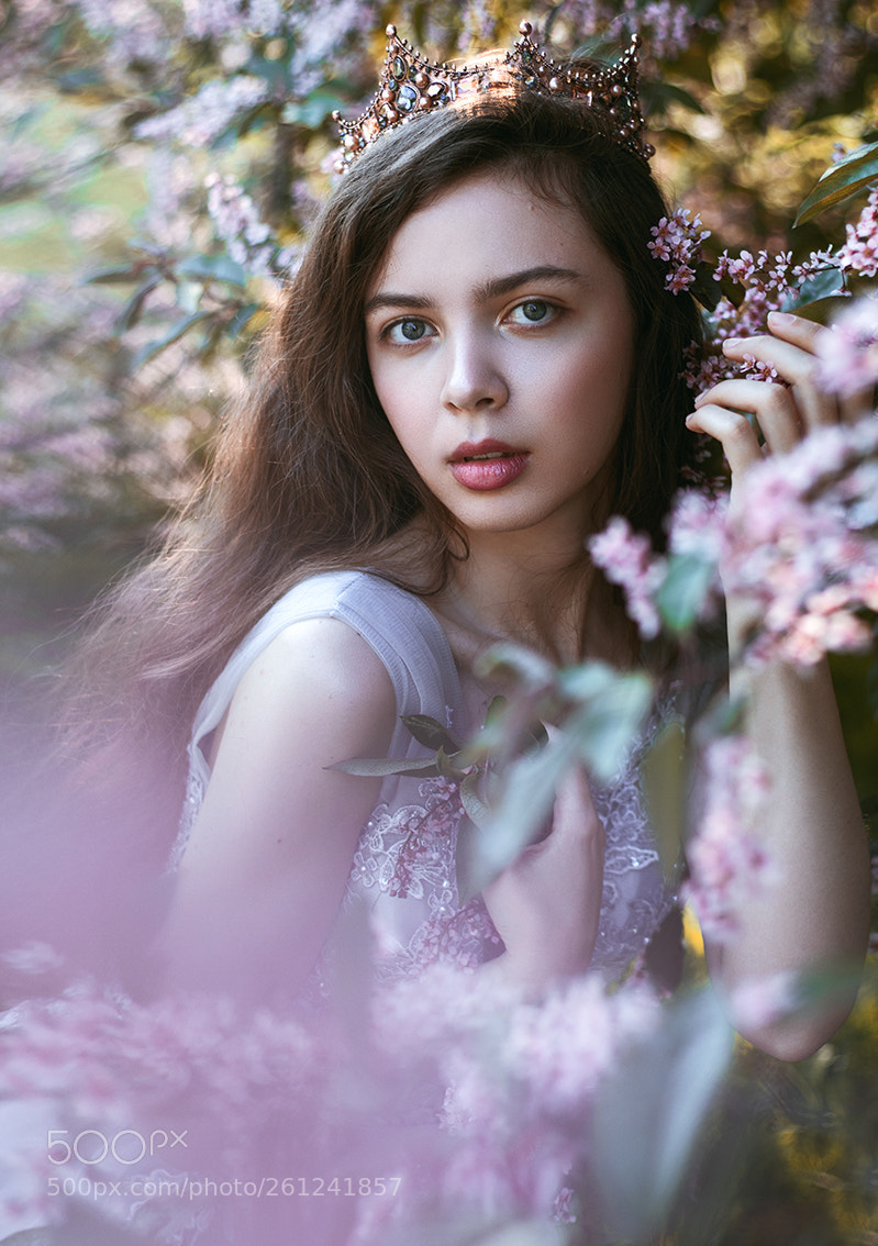 Canon EOS 7D Mark II sample photo. Muse photography