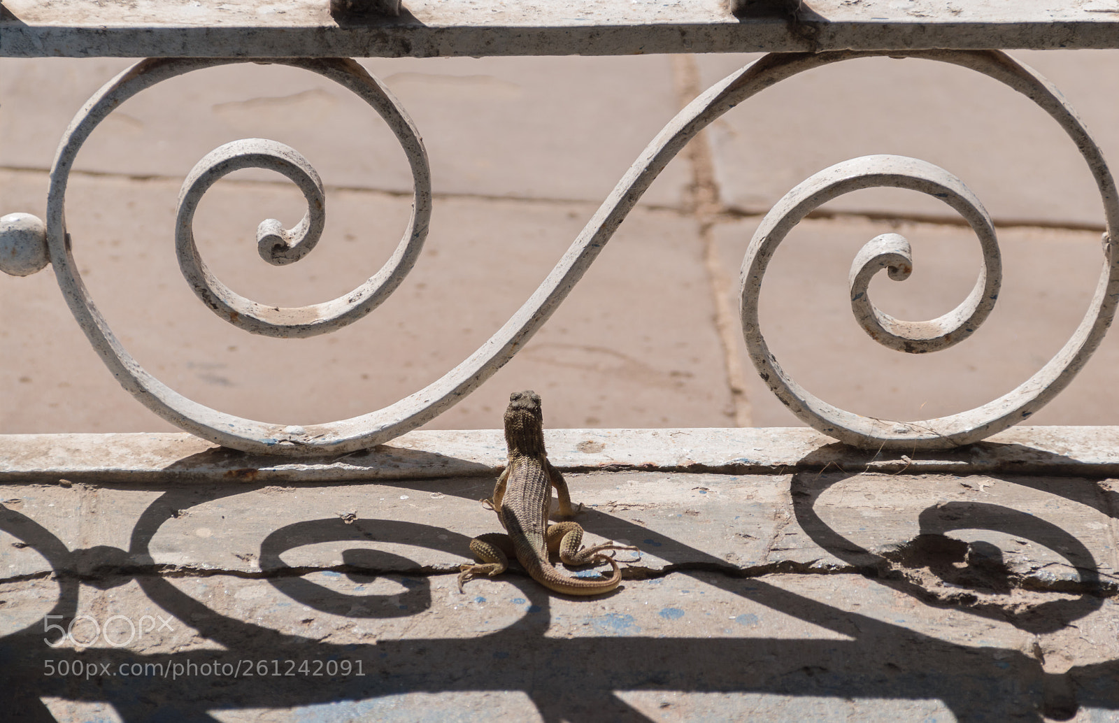 Nikon D5500 sample photo. Passersby watcher photography